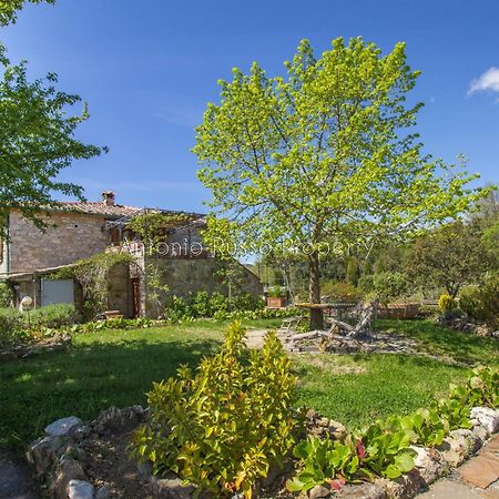 Ca'Novae - Tuscany Farmhouse Montieri Extérieur photo