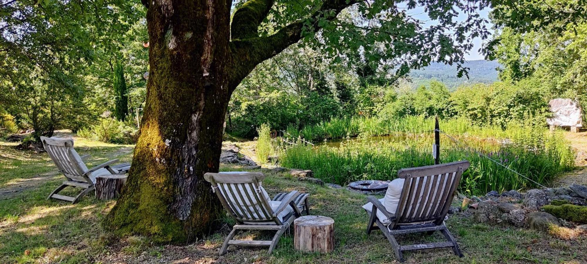 Ca'Novae - Tuscany Farmhouse Montieri Extérieur photo